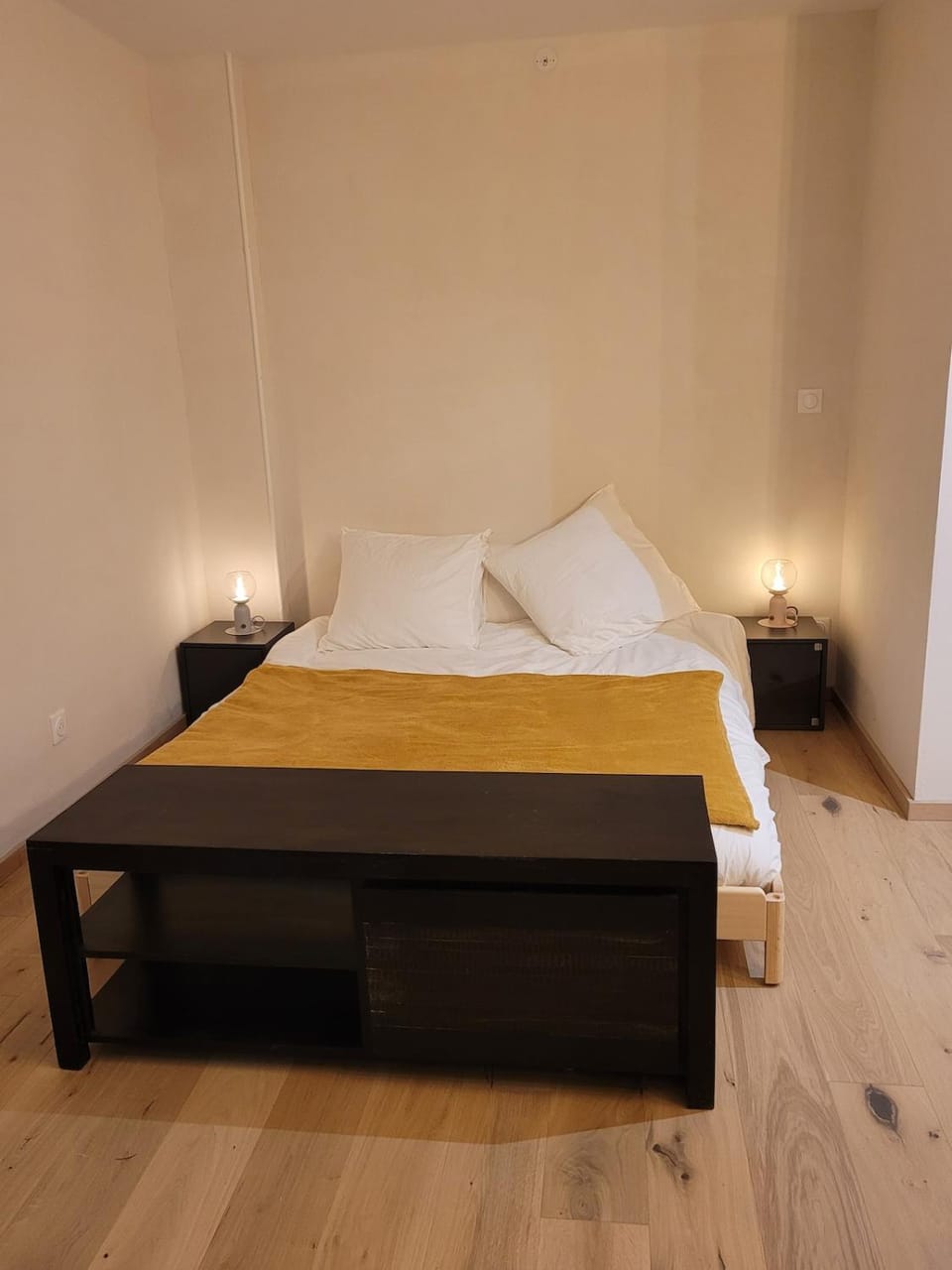 Independent studio with kitchen and bathroom Apartment in Strasbourg