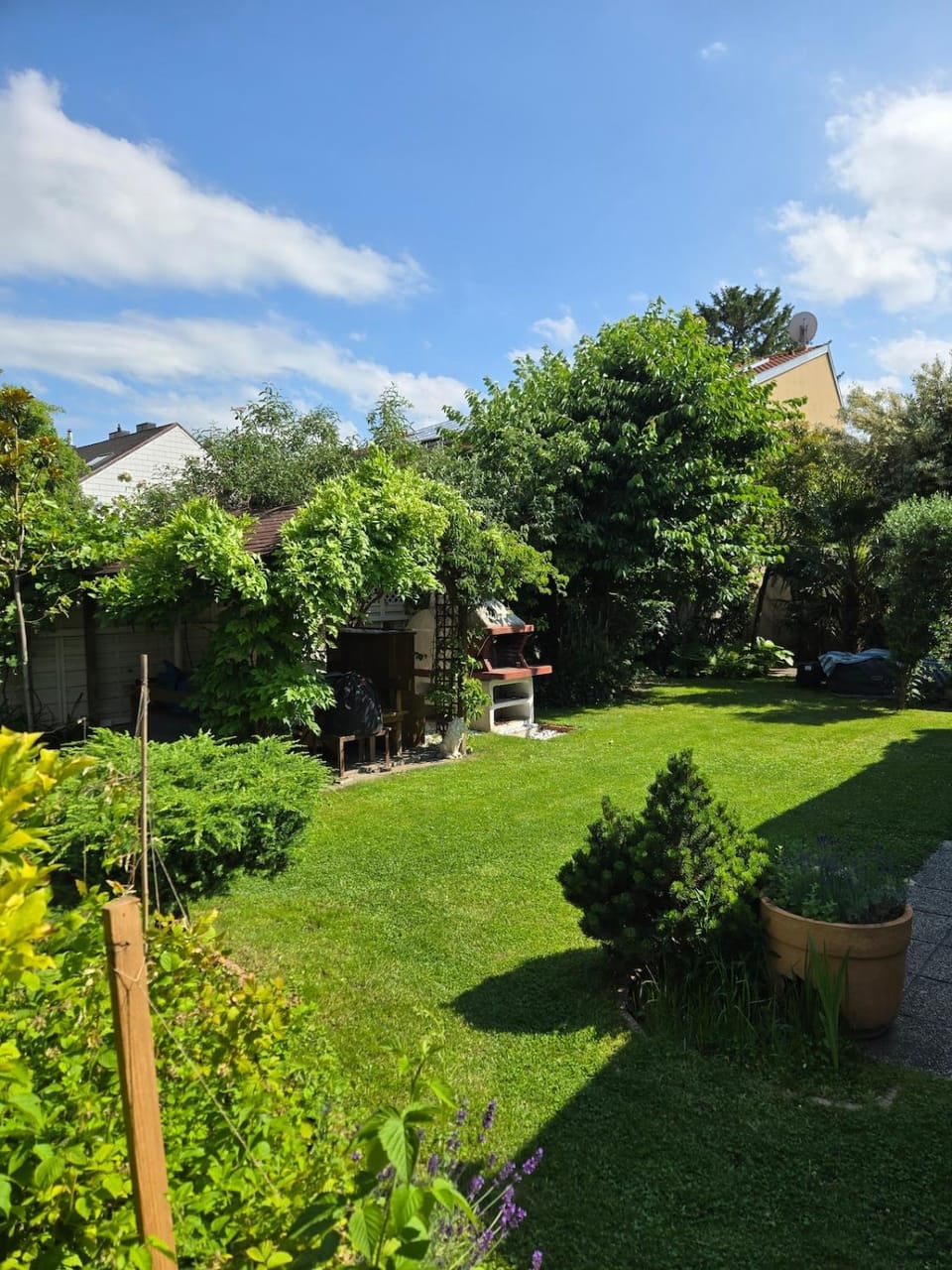 Garden view