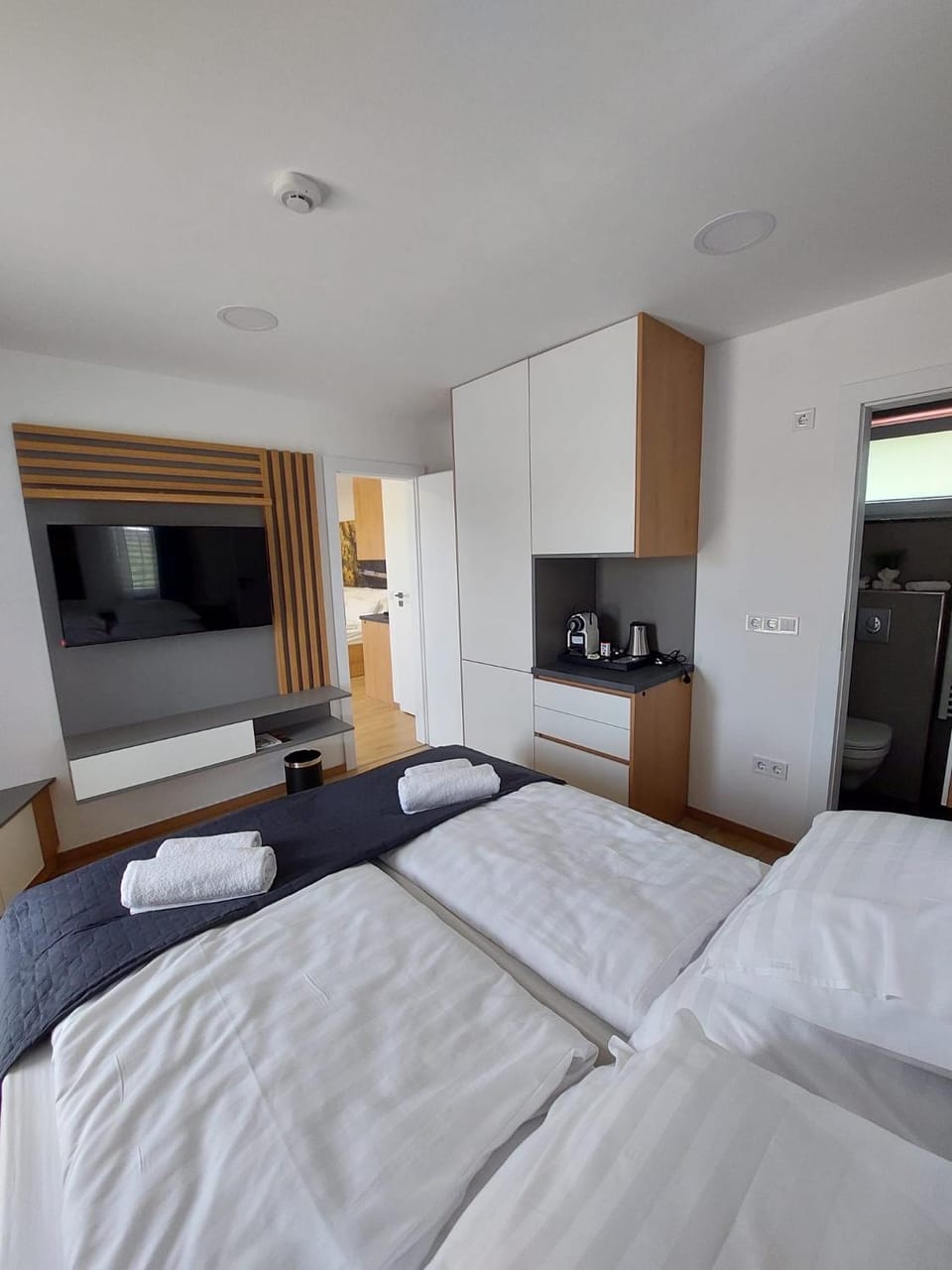 Bed, TV and multimedia, Kitchen or kitchenette, Photo of the whole room, Bedroom, minibar