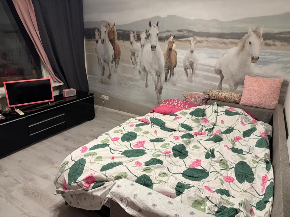 Yksiö Nuutajärvi Pikku Masa Apartment in Finland