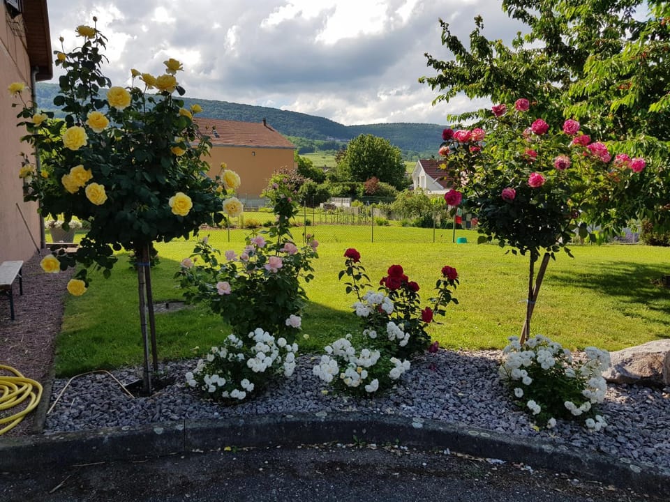 Property building, Garden
