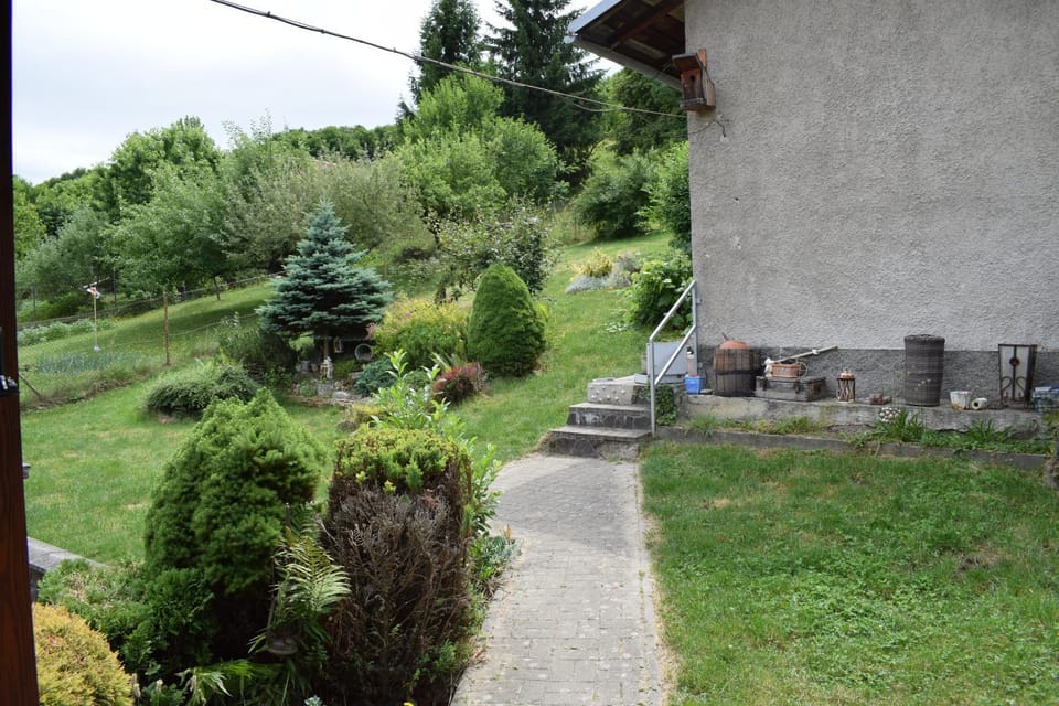 Natural landscape, Garden, Garden view