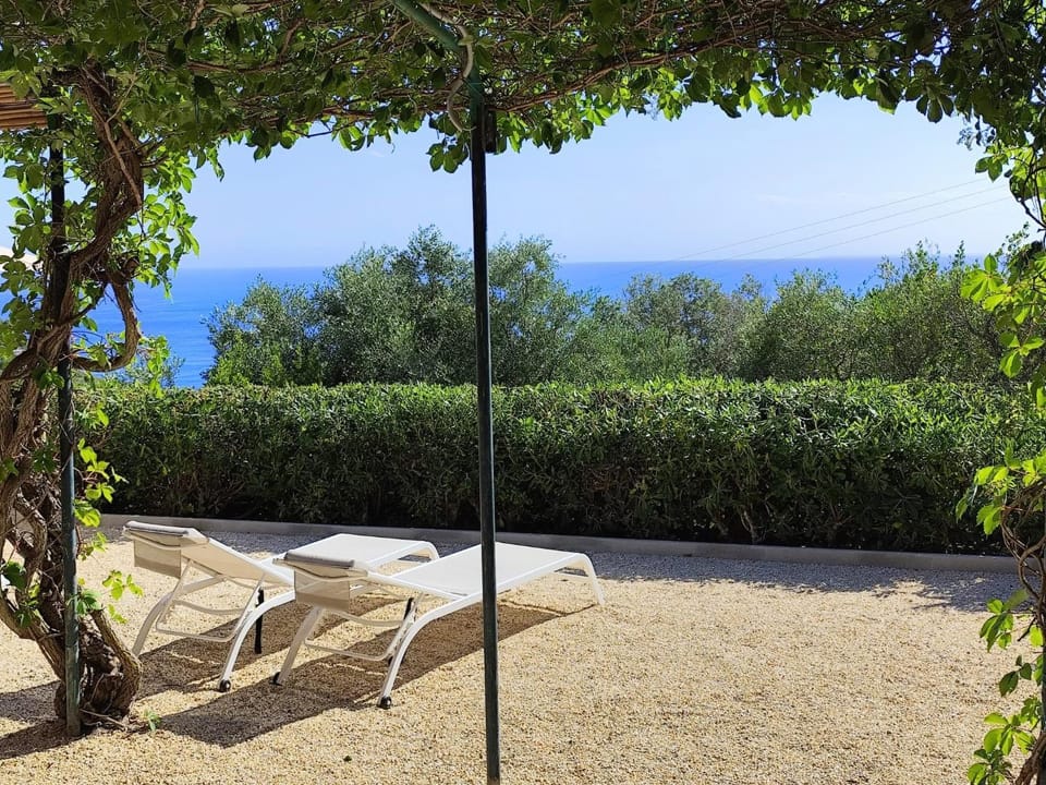 Garden, sunbed