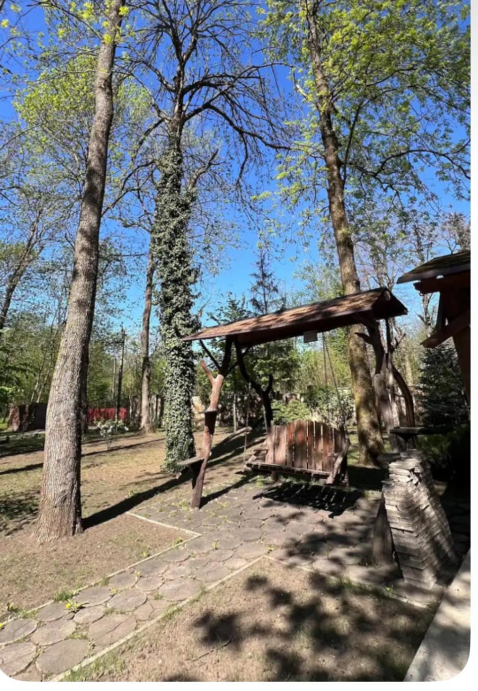 Pensiunea Dumbrava Bed and Breakfast in Moldova