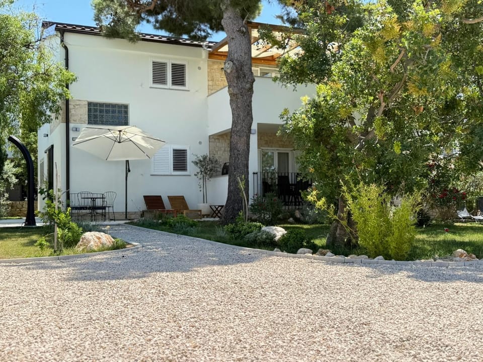 Property building, Garden view
