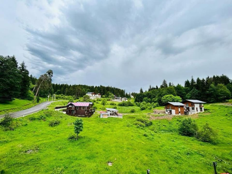 Bakuriani Art Hotel apartament Apartment in Georgia