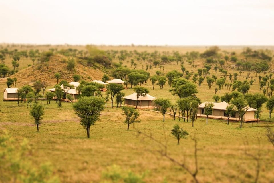 Natural landscape, View (from property/room)