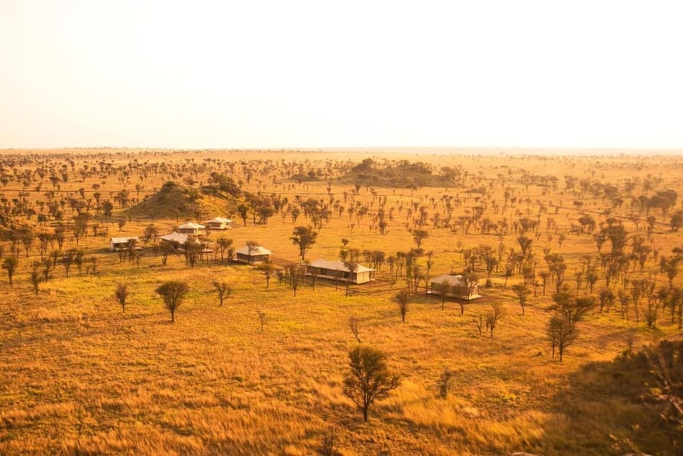 Property building, Natural landscape, View (from property/room), Animals