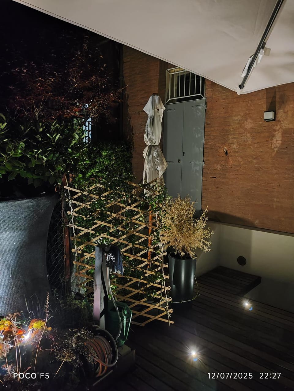 Night, Garden, Garden view