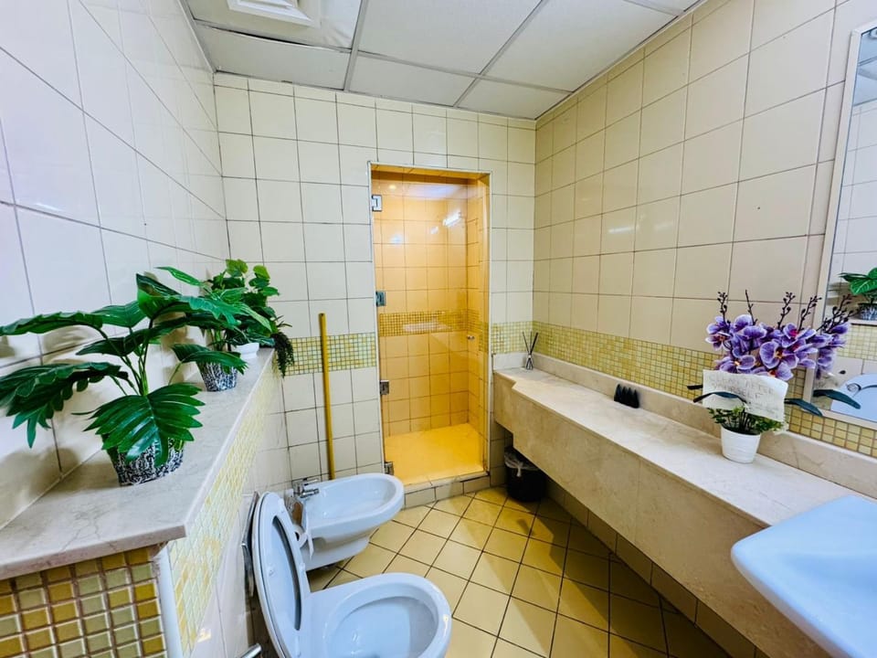 Shower, Toilet, Bathroom, bidet