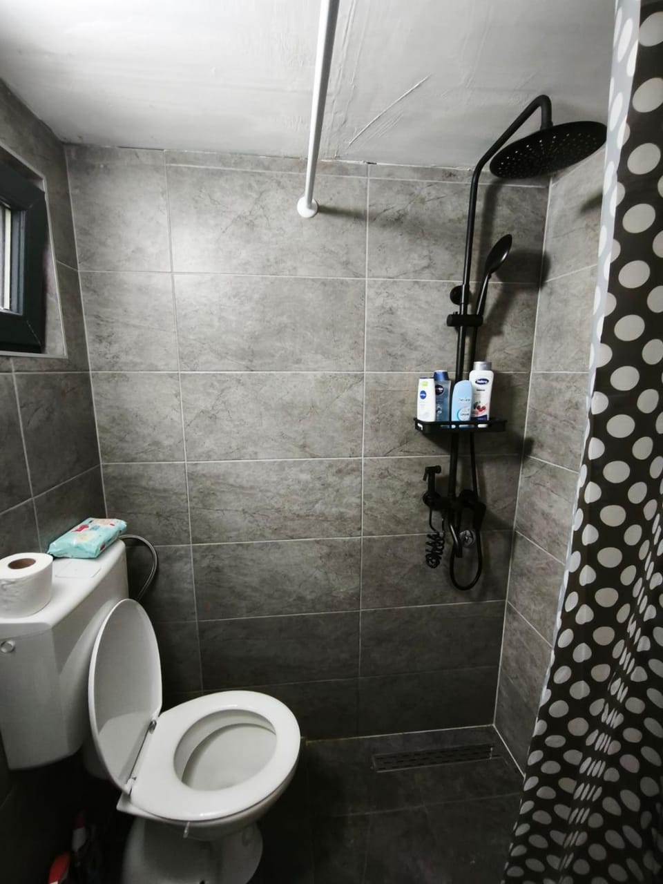 Shower, Toilet
