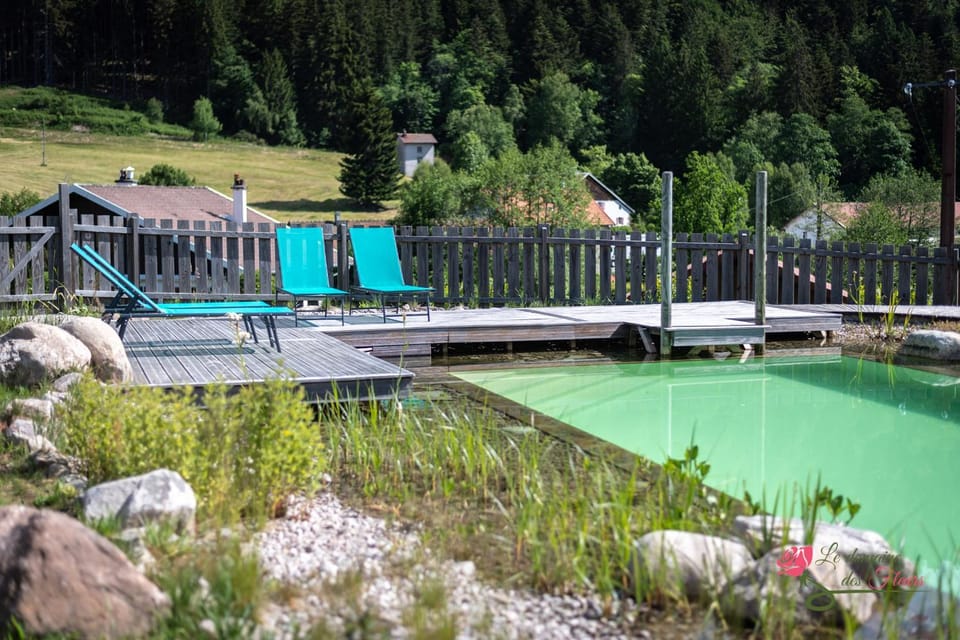 Natural landscape, Mountain view, Swimming pool