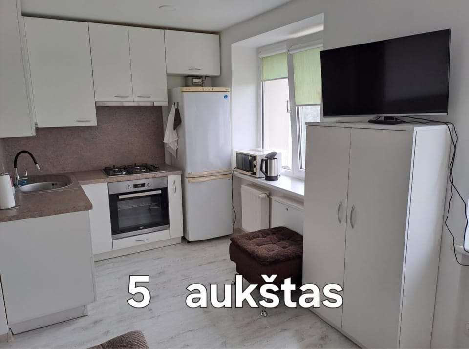 Prie Agluonos Apartment in Lithuania