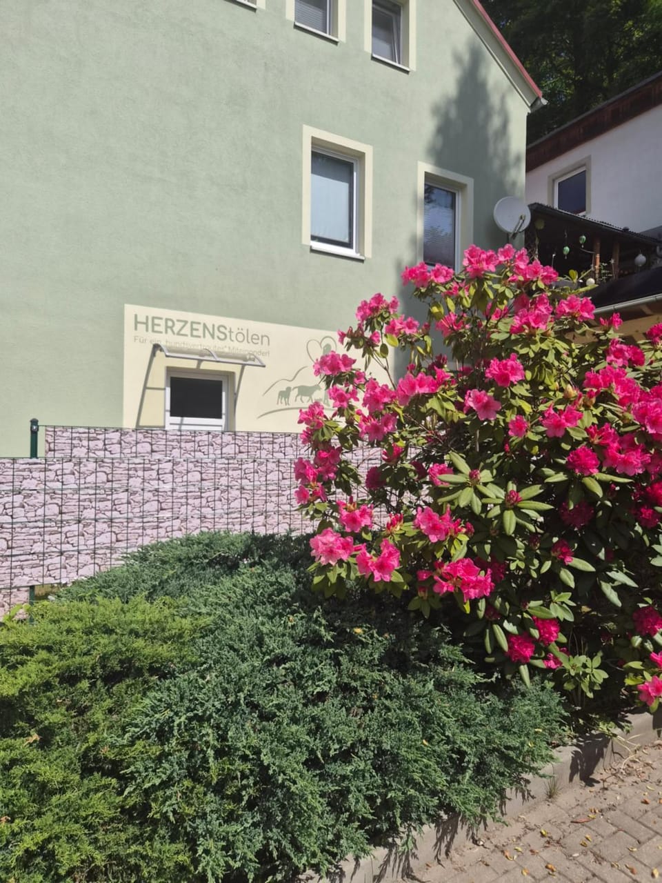 FeWo Herzenstölen Apartment in Sächsische Schweiz-Osterzgebirge