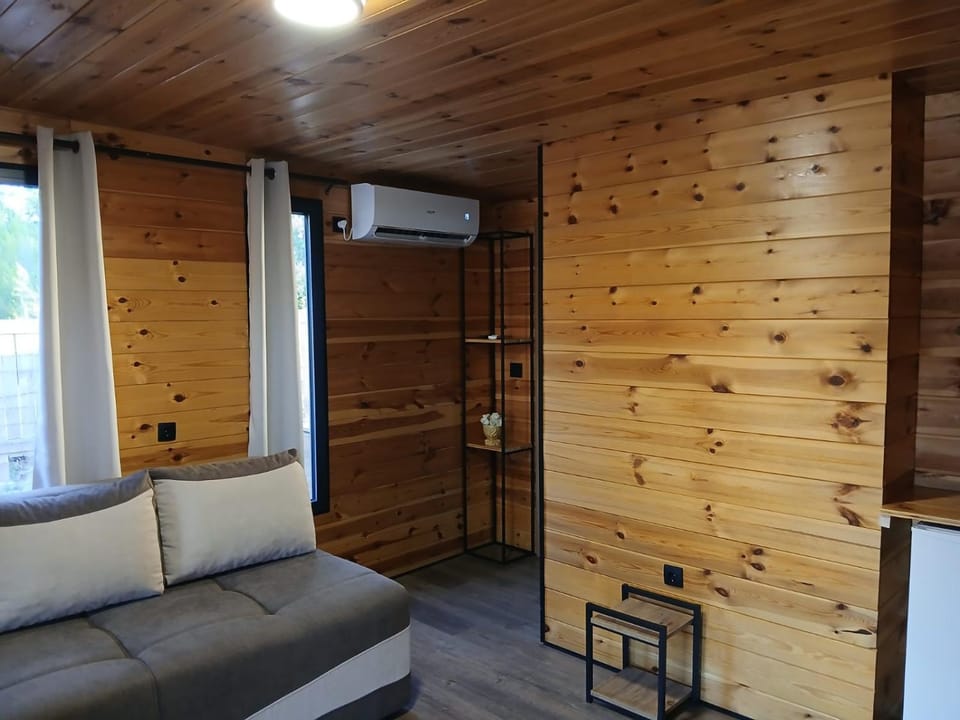 Living room, Seating area, air conditioner
