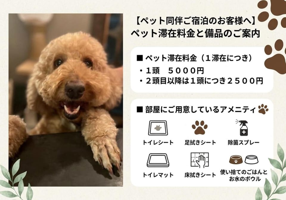 Pets