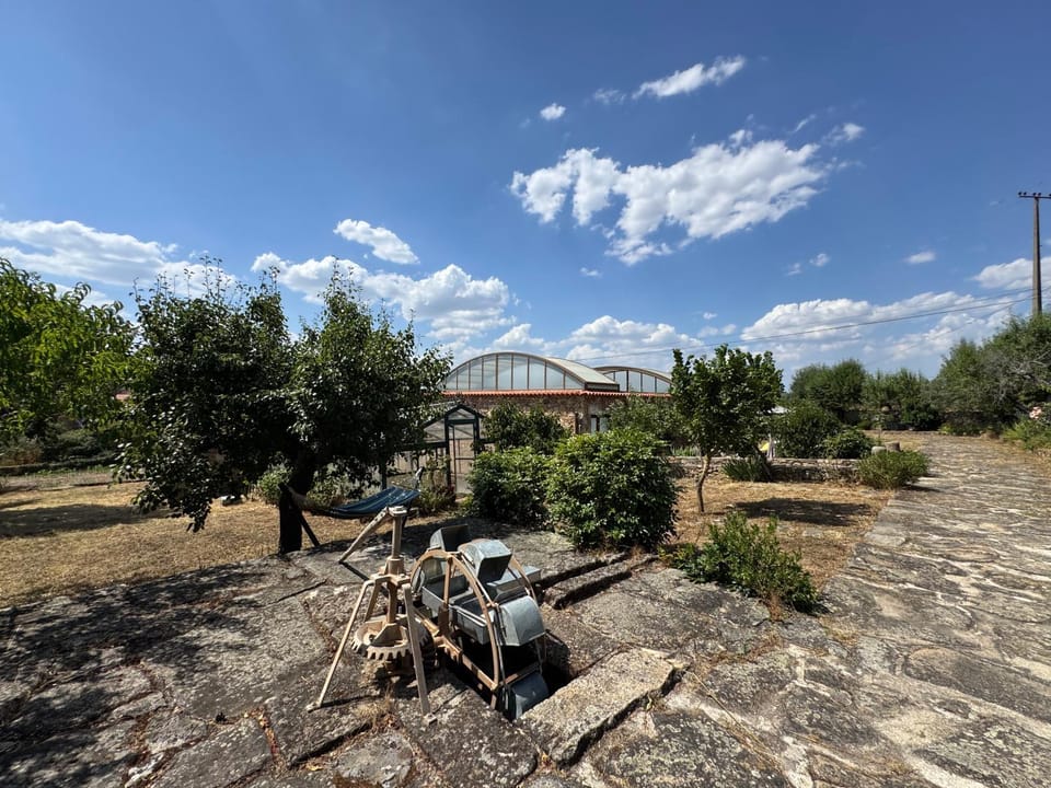 Garden, Garden view