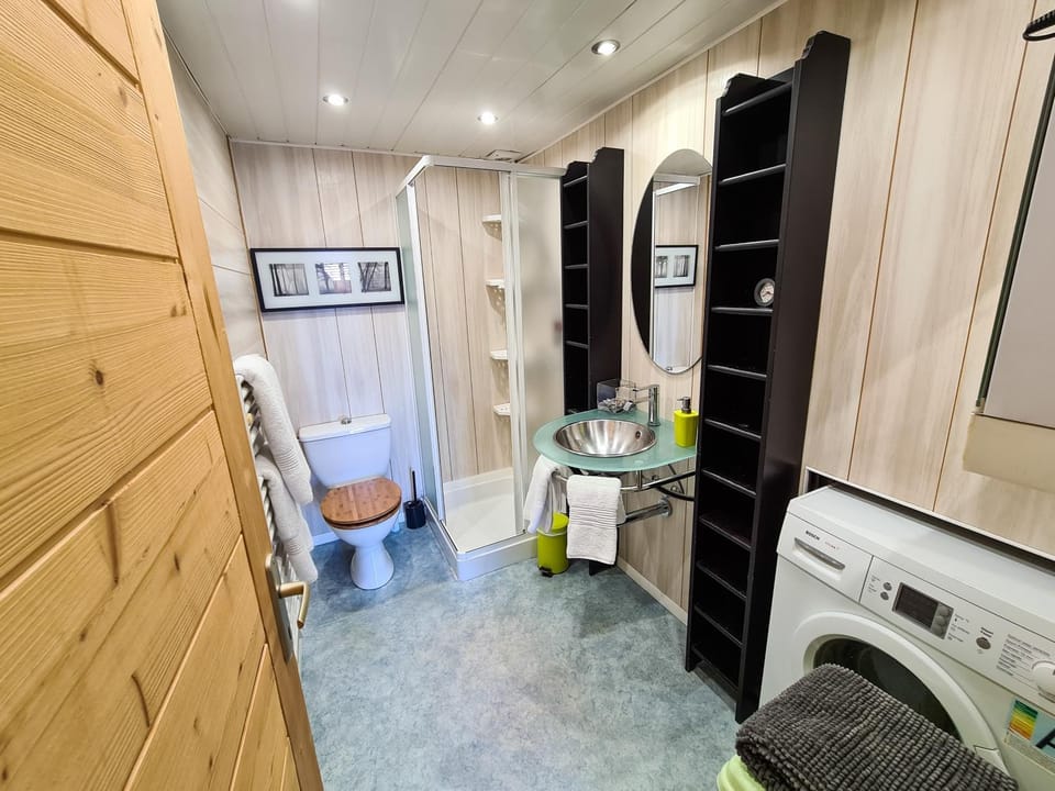 Toilet, Bathroom, towels, washing machine