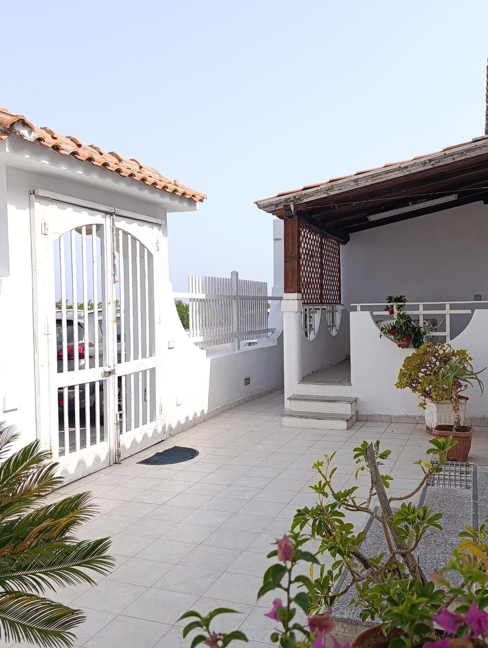 Patio, Day, Inner courtyard view