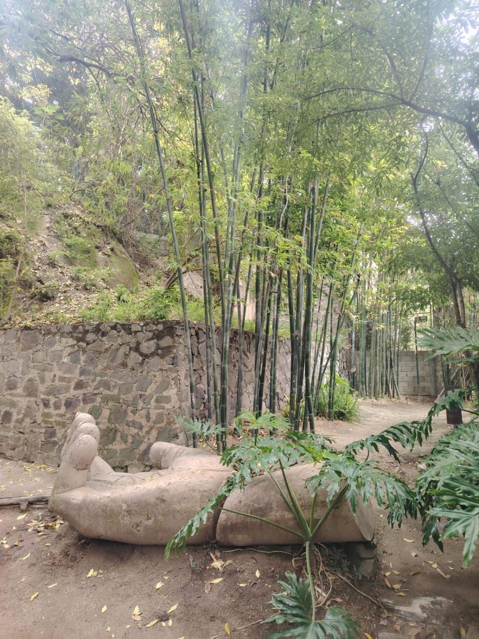 Natural landscape, Garden, Garden