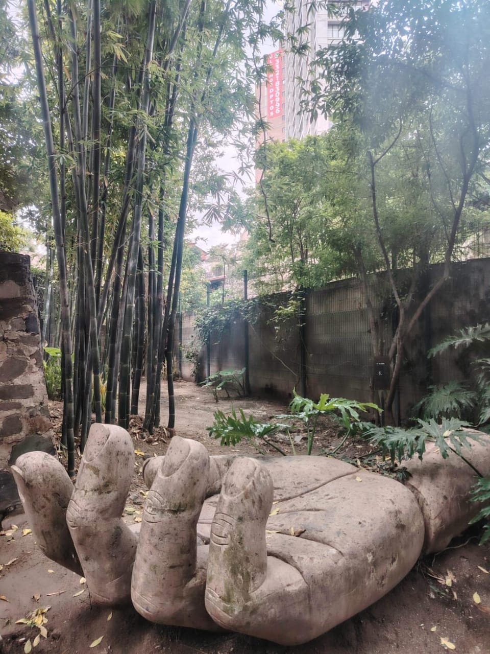Natural landscape, Garden, Garden