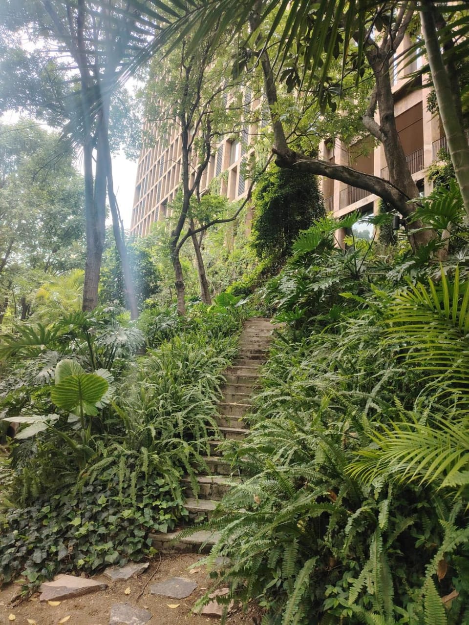 Natural landscape, Garden, Garden