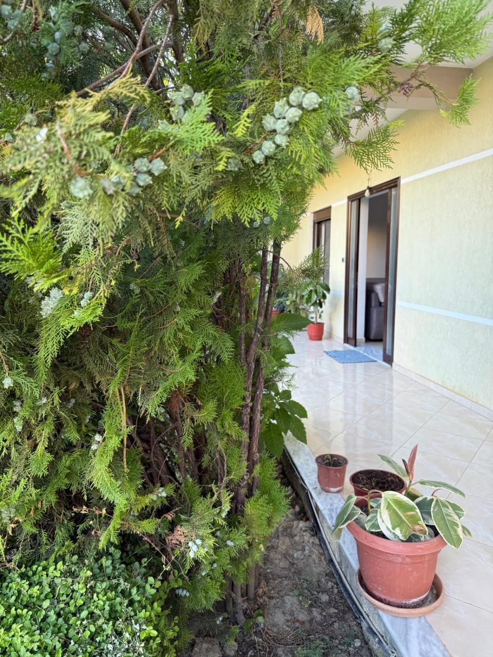 Quiet Room, close to Airport Villa in Tirana County, Albania