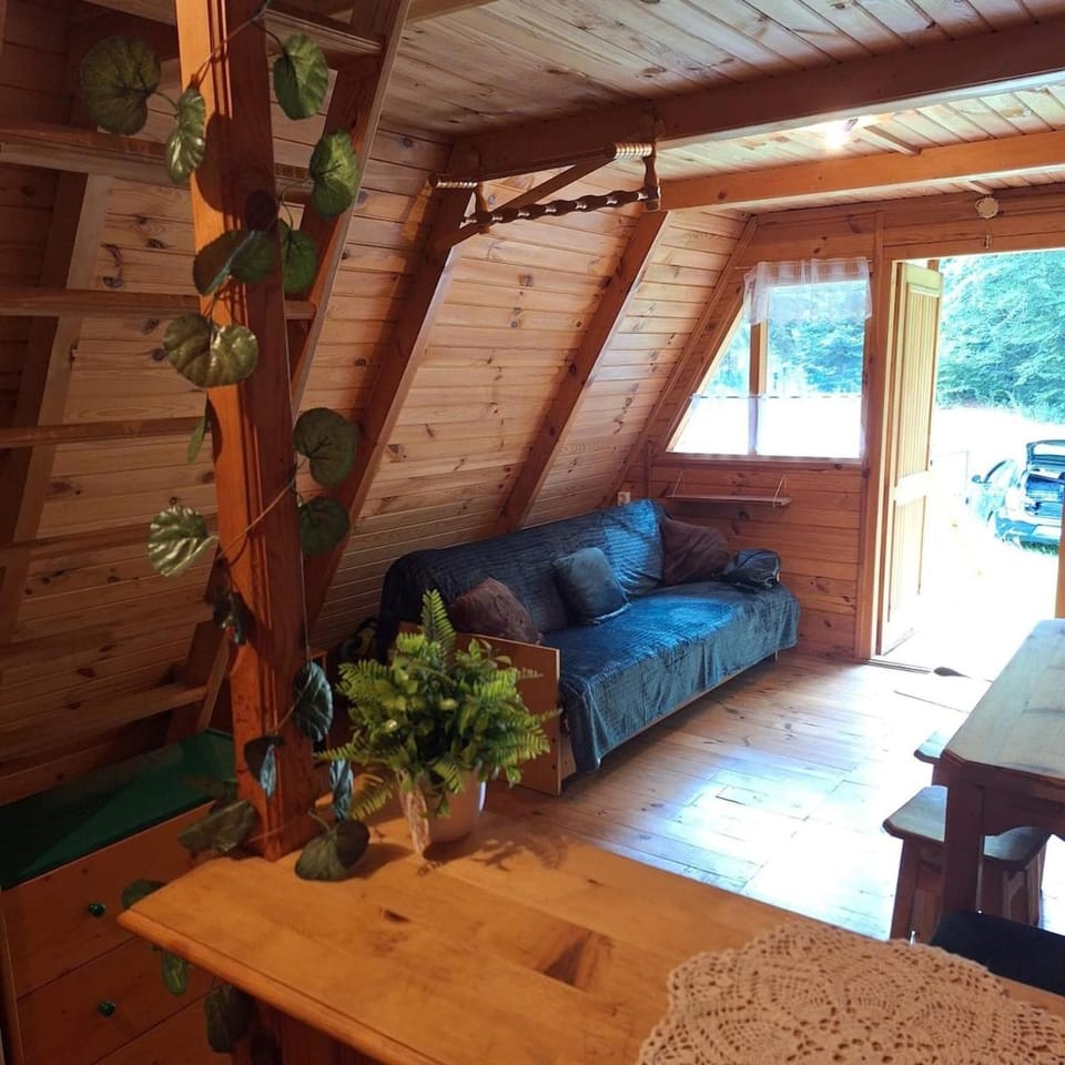 Bed, Living room, Photo of the whole room, Seating area, Bedroom