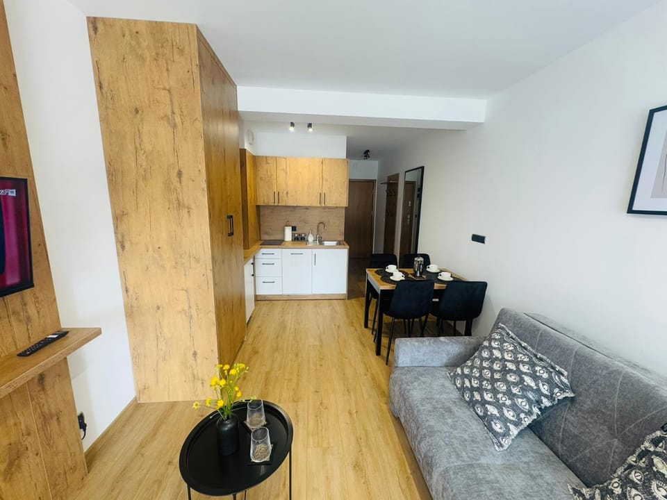 Living room, Seating area, wardrobe