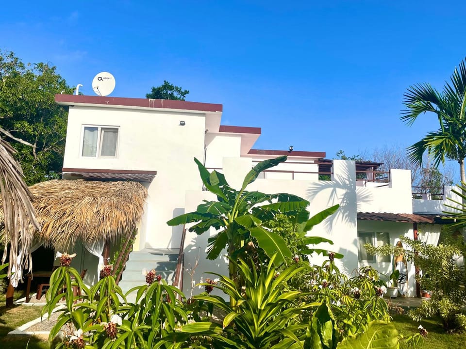 Property building, Garden view