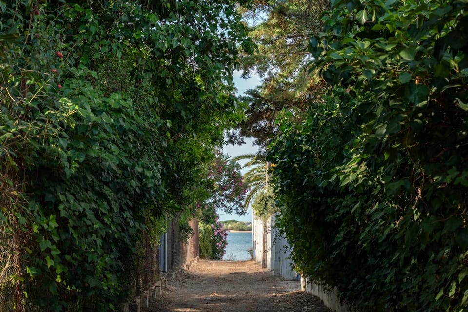 Villa Mar Rompido Nature lodge in Costa de la Luz