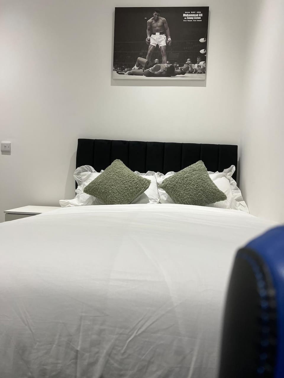 Regent Cosy Apartment in Coventry