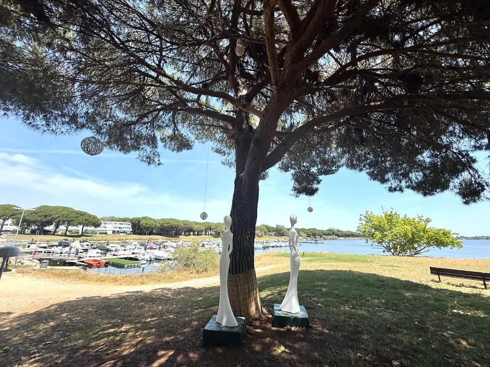 Day, Natural landscape, Lake view, River view