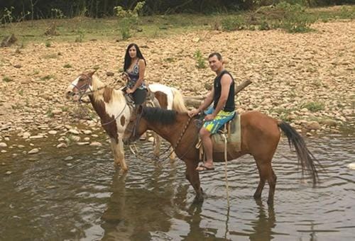 Natural landscape, Horse-riding, group of guests