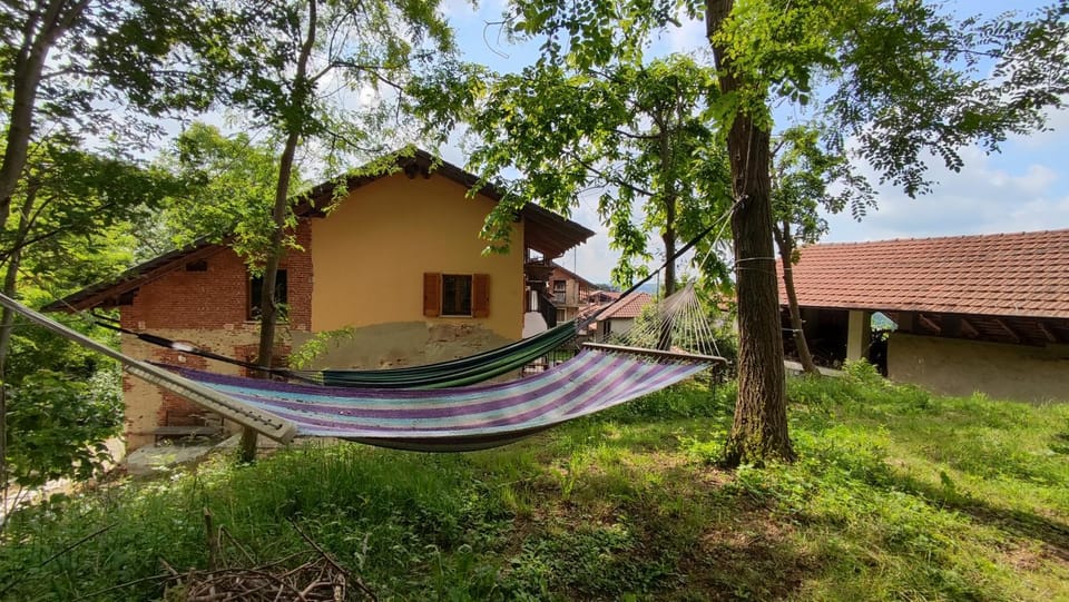 Property building, Garden, Garden view