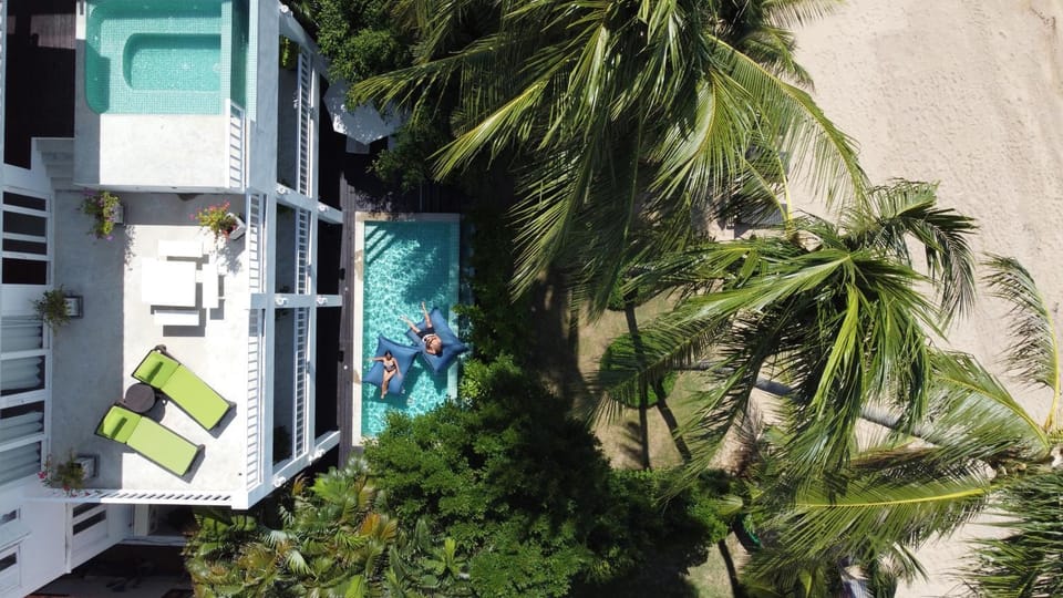 Natural landscape, Swimming pool, sunbed