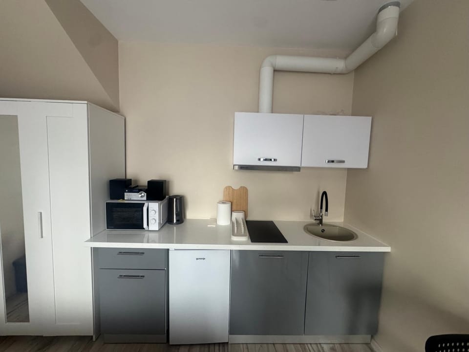 Straume Apartment in Estonia
