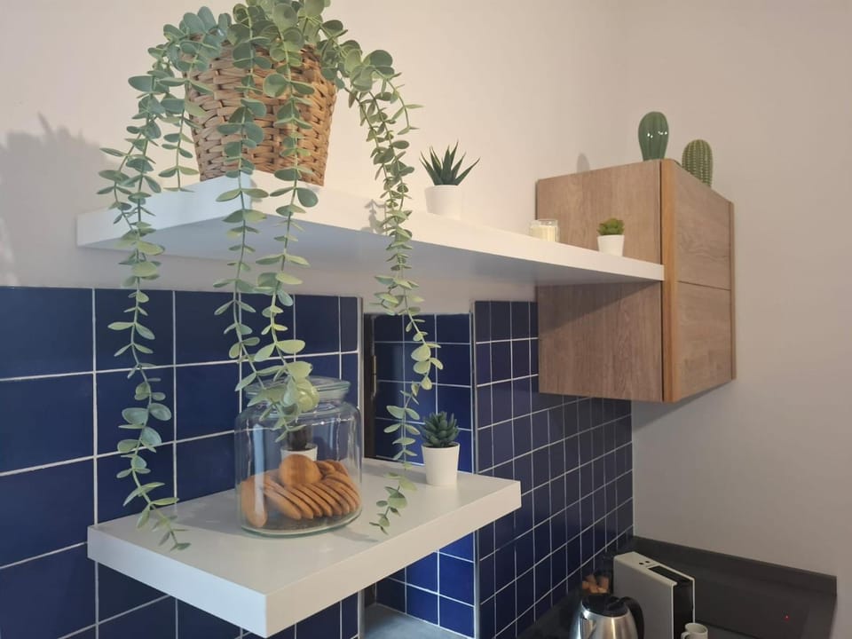Kitchen or kitchenette, kitchen