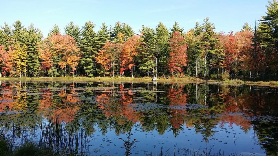 Lake view