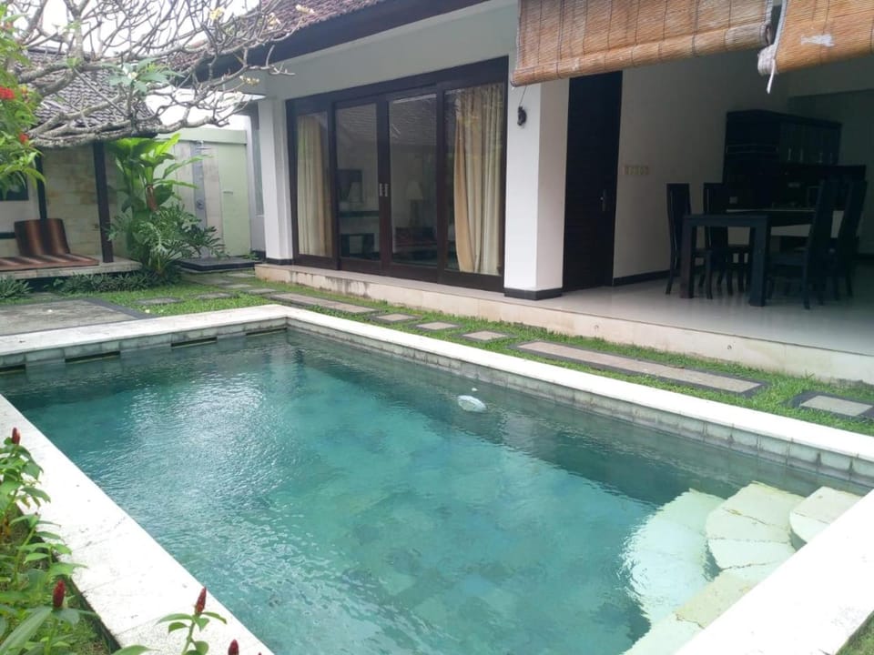 Garden, Garden view, Swimming pool