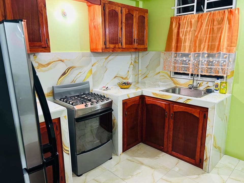 Kitchen or kitchenette, kitchen