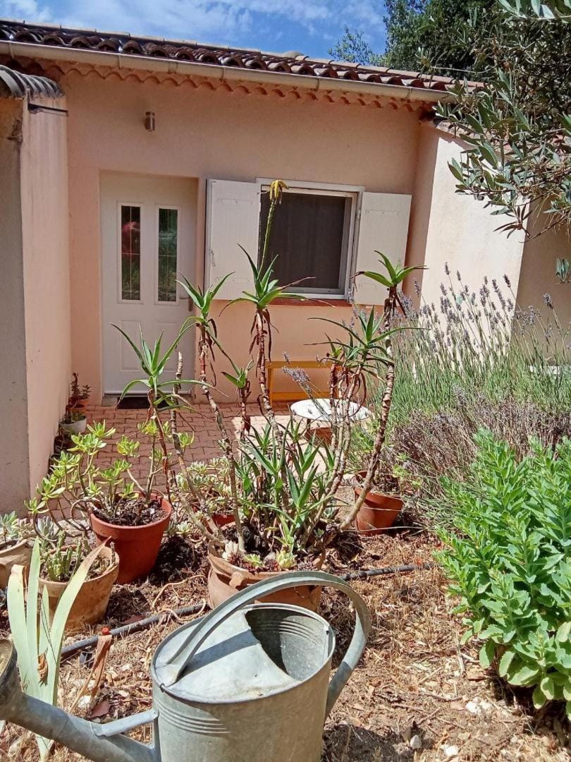 Sous le figuier, gîte avec piscine partagée House in Saint-Maximin-la-Sainte-Baume