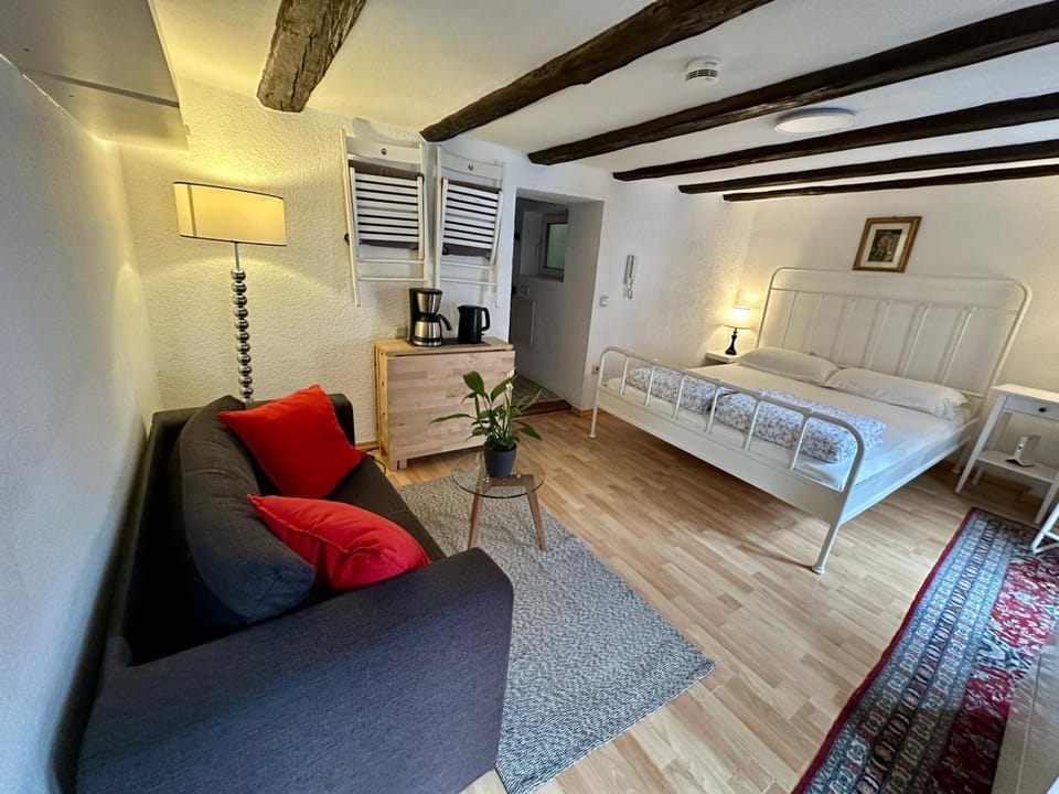 Bed, Living room, Photo of the whole room, Seating area, Bedroom