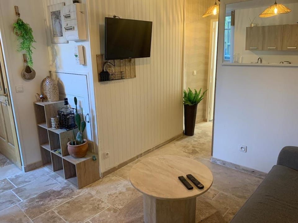 Le Cosy Apartment in Centre-Val de Loire