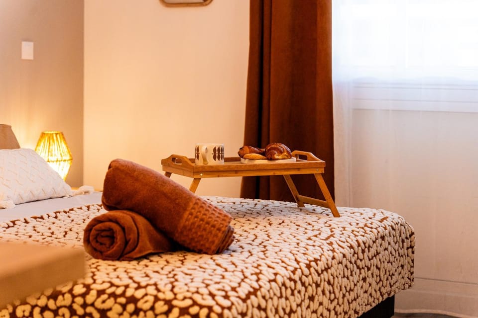 Le Zélia - Studio au coeur de Saint-Denis Apartment in Saint-Denis