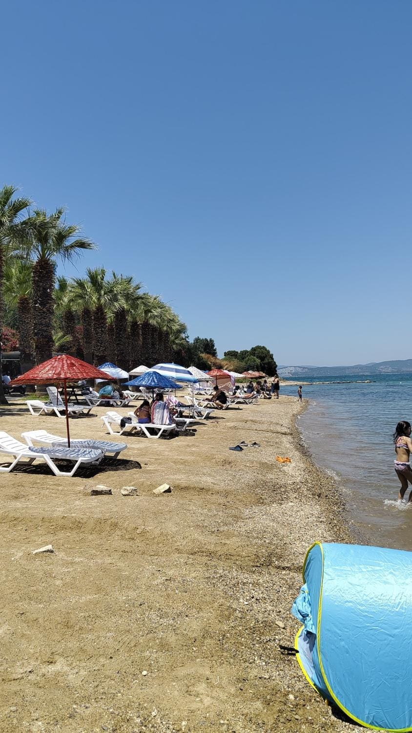 Day, People, Beach, Sea view, sunbed