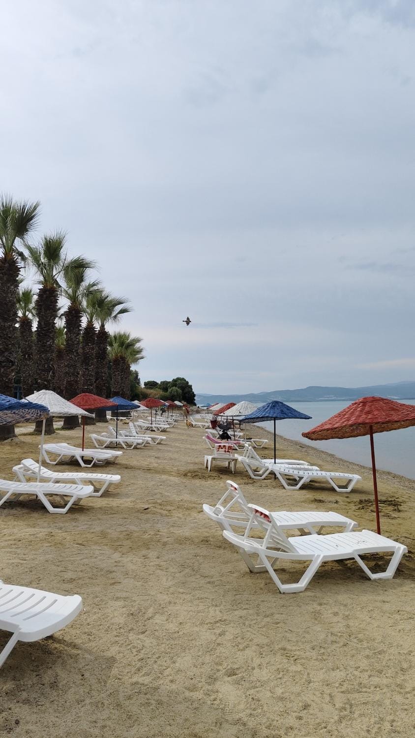 Day, Beach, Sea view, sunbed