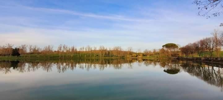 Natural landscape