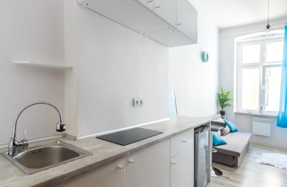 Cozy Studio in Łódź Apartment in Poland