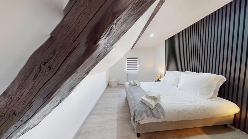 Le Big Bag 5 chambres appartement familial Apartment in Colmar